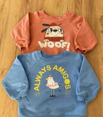 Lot de 2 pulls bébé