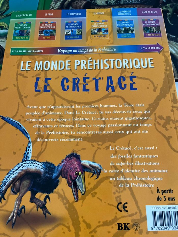 Lot de 3 livres dinosaures - photo numéro 3