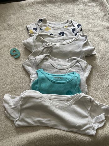 Lot 5 bodies