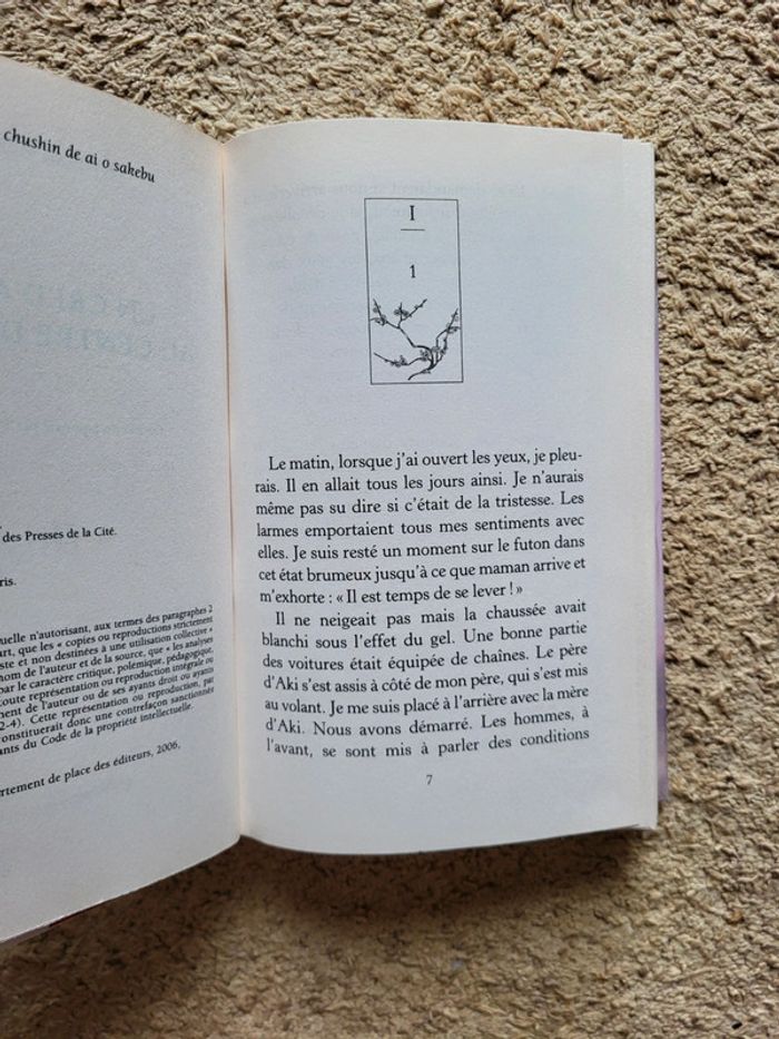 Roman Un cri d'amour au centre du monde - Kyoichi Katayama - photo numéro 5