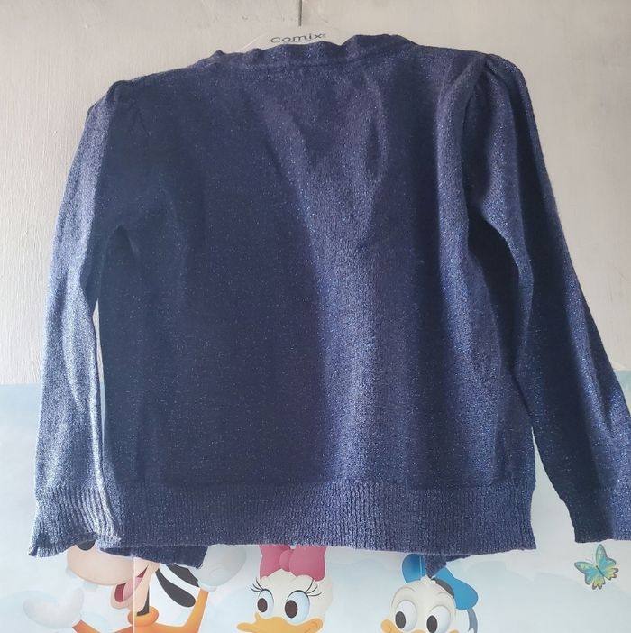 Gilet fille 3 ans - photo numéro 2