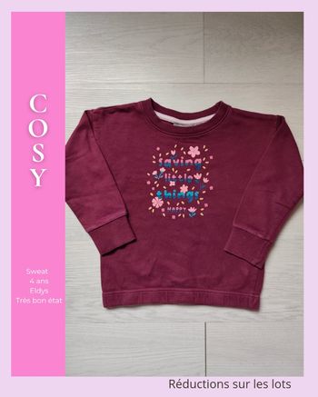 Sweat violet 🦄 Taille 4 ans 