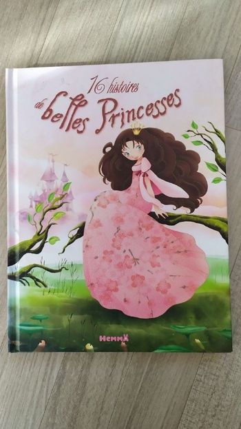 Livre 16 histoires de belles princesses