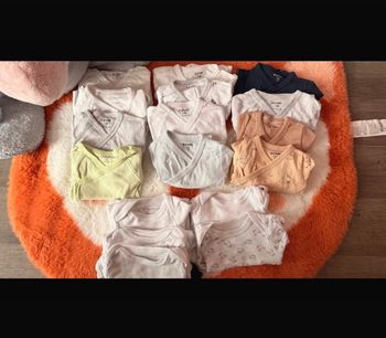Lots 17 body 