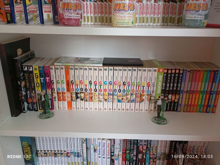 Lot de 240 mangas - photo numéro 6