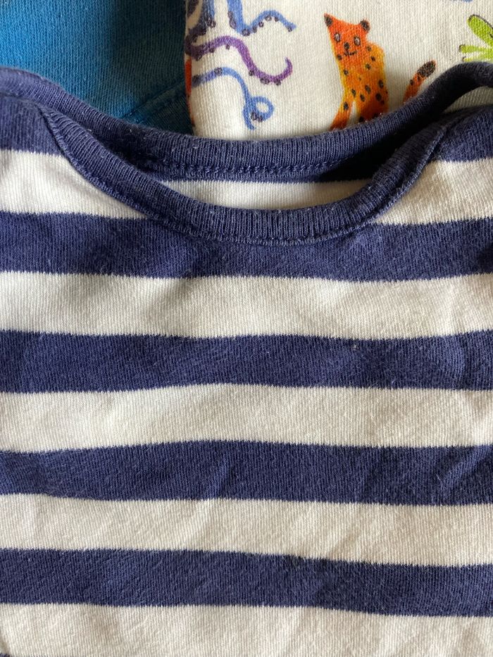 Lot 3 bodies manches courtes - photo numéro 2