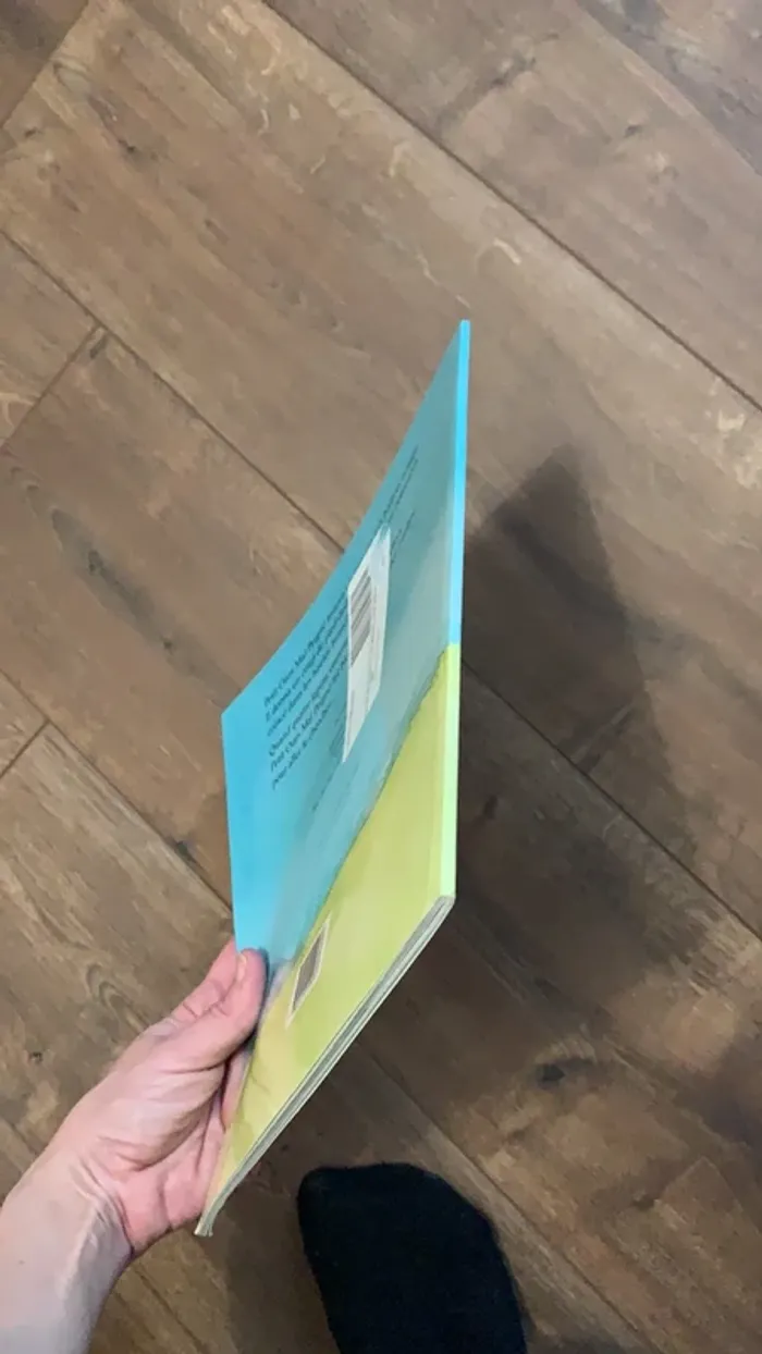 Livre le petit ours mal peigné et le ballon rouge - photo numéro 3