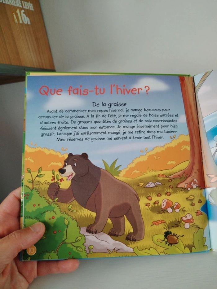 Altaya Les animaux de la forêt n°2 L'ours brun - photo numéro 11