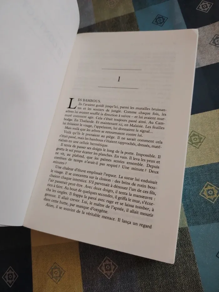Livre La ligne noire - photo numéro 6