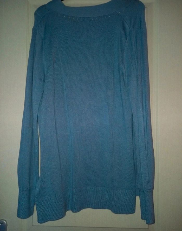 gilet bleu - photo numéro 2