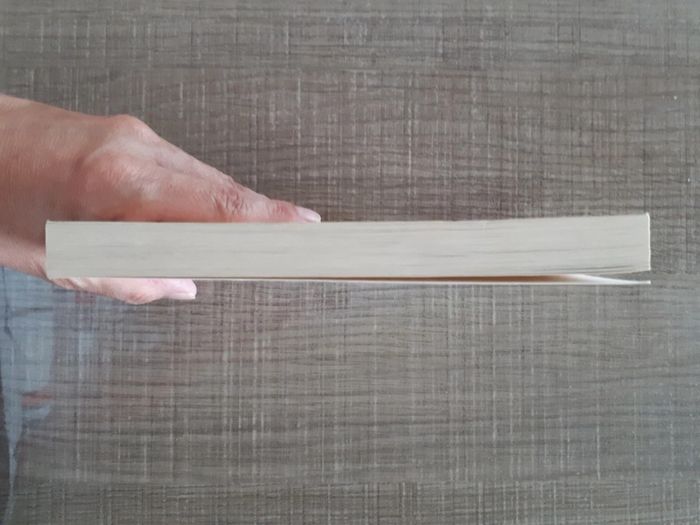 Livre neuf "Où es-tu ?" - photo numéro 7