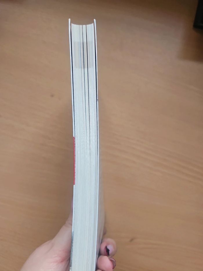 Faire perdre ses mauvaises habitudes à son chien - photo numéro 4