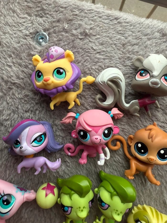 Lot petshops - photo numéro 6