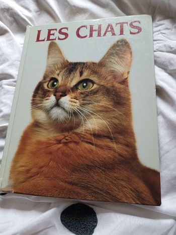 Les chats