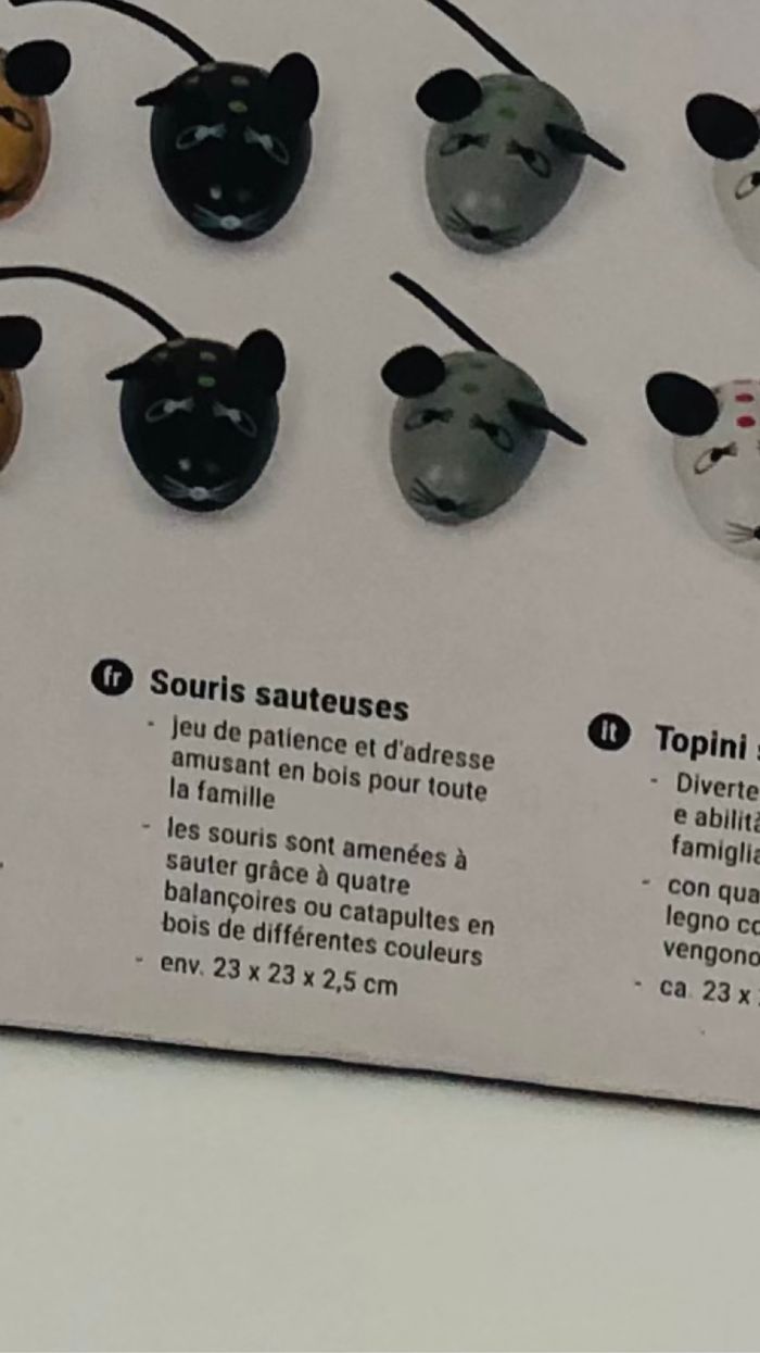 Souris sauteuses - photo numéro 6