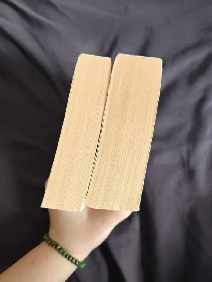 Lot de 2 livres tomes 2 et 3 - photo numéro 6