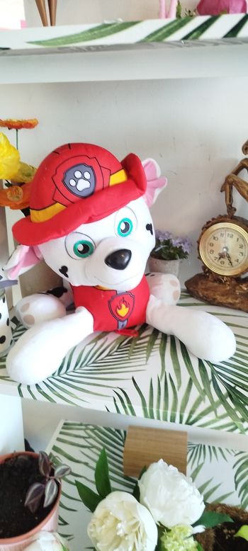 Peluche Disney paw patrol 🌿