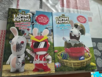 Lot 2 Livres de jeux Lapins Crétins