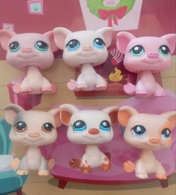 Lot petshop cochon 