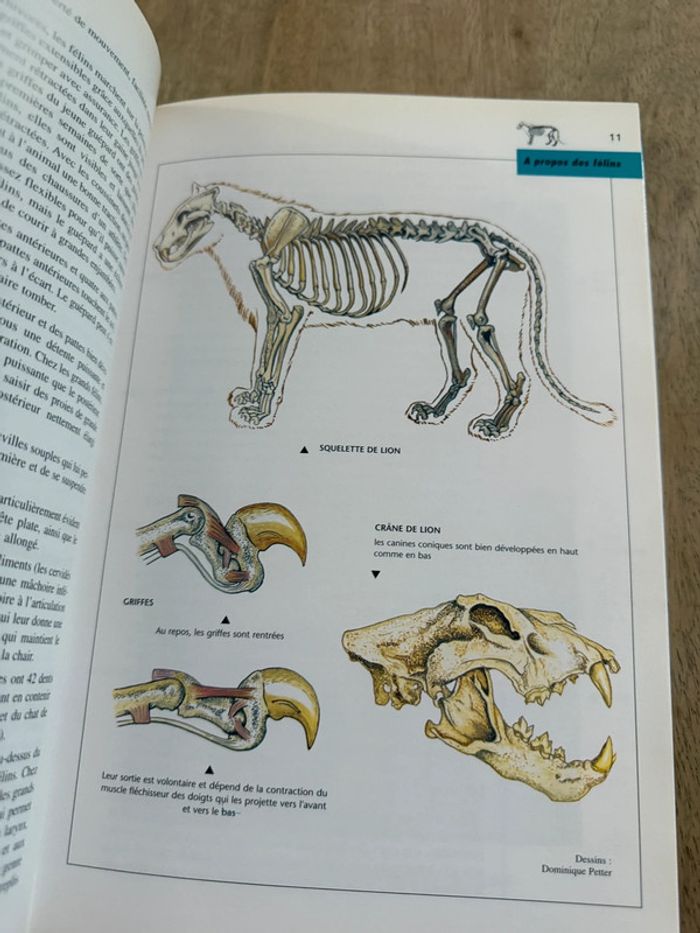 Bibliothèque du naturaliste encyclopédie livre rare Les félins Robert Dallet panthères wwf - photo numéro 7