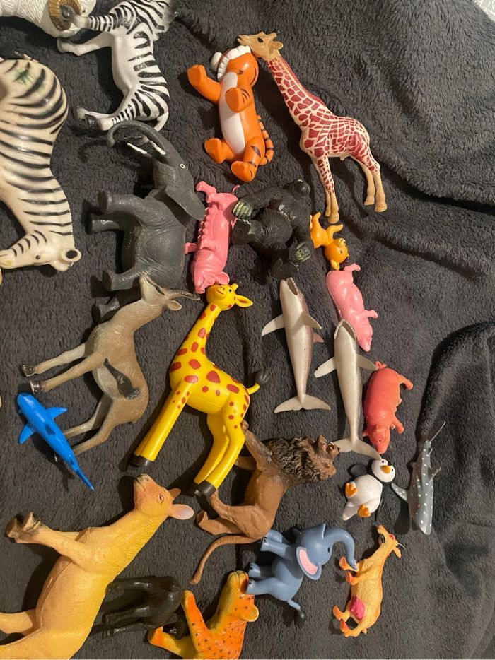 Lot animaux - photo numéro 4