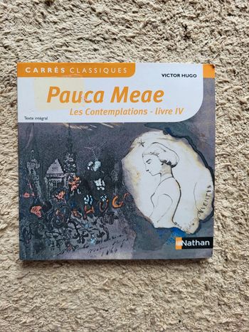 Livre pour le lycée Pauca Meae Le contemplations - Livre IV Victor Hugo