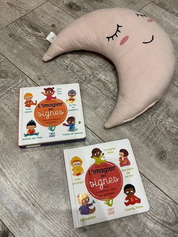 Lot de deux livres « l’imagier des signes »