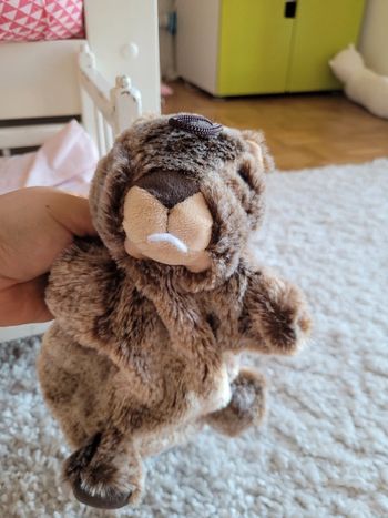 Marionnette marmotte