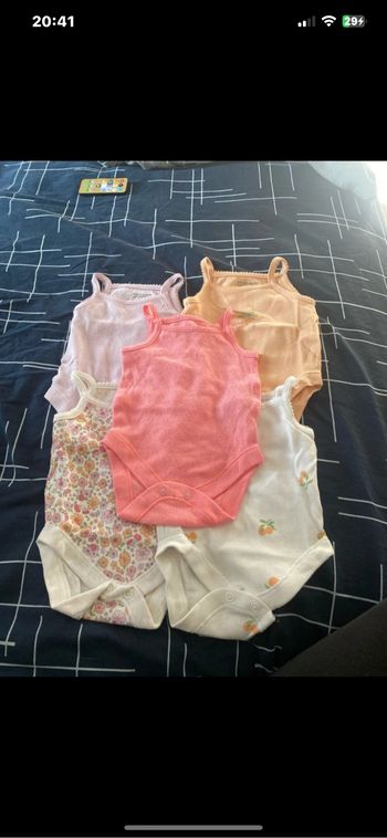lot bodies