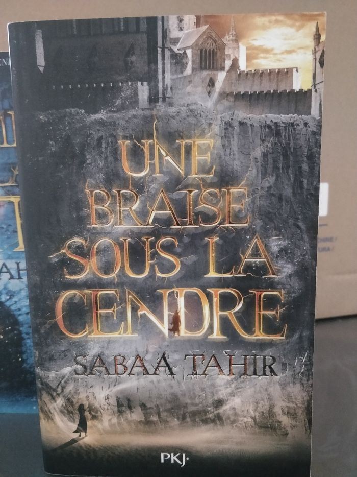 Livres UNE BRAISE SOUS LA CENDRE - photo numéro 4