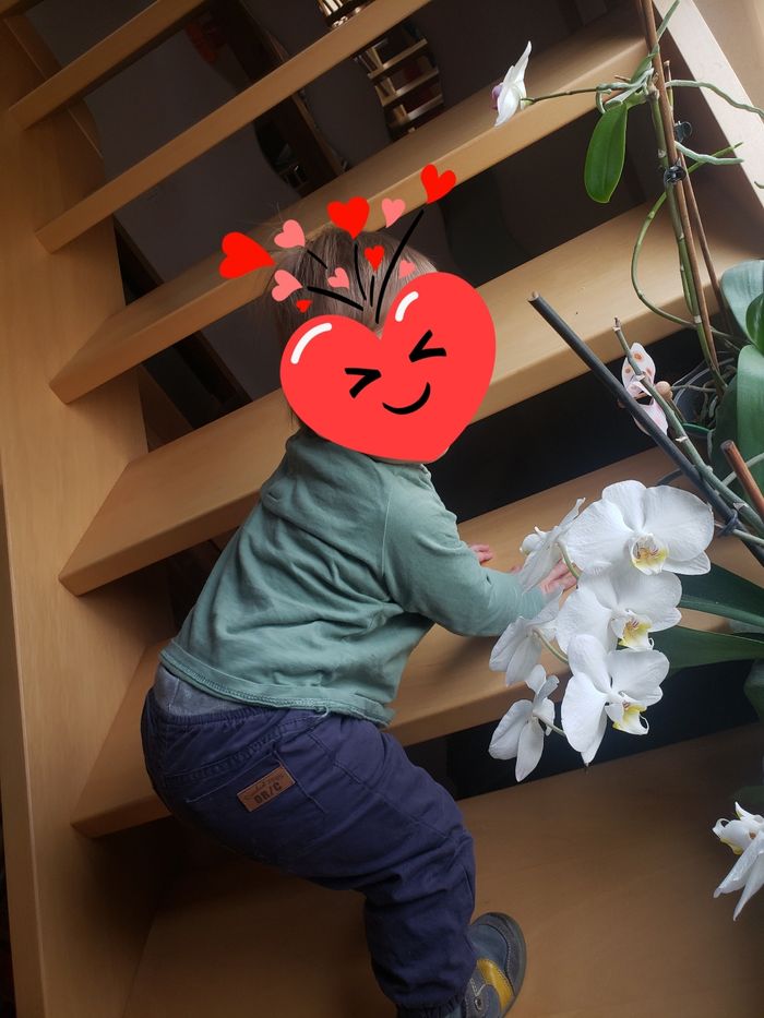 Pantalon en toile bleue doublé coton Orchestra 18 mois - photo numéro 9