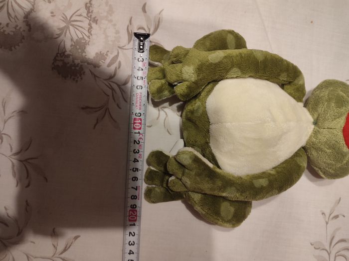 Grenouille - photo numéro 6