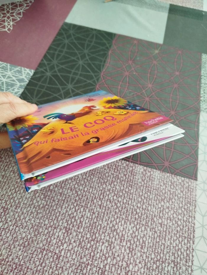 Le coq et à cœur vaillant - photo numéro 4