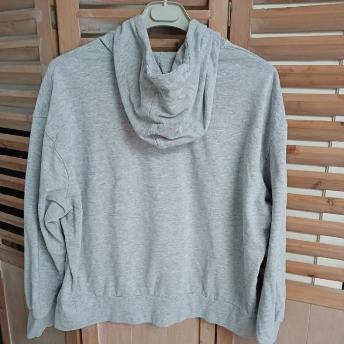 Sweat à capuche gris homme XXL EagleWood - photo numéro 4