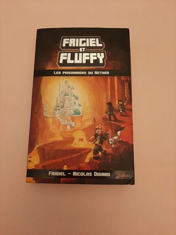 Livre Minecraft   les prisonniers du Net herault  Frigiel et Fluffy