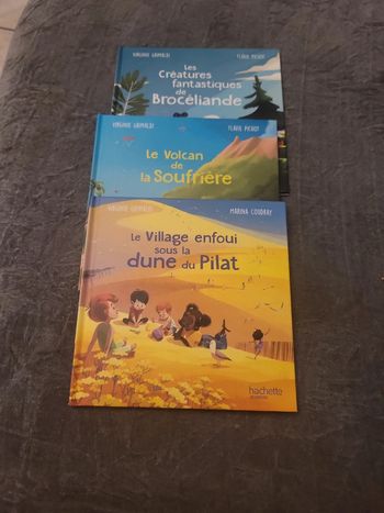 3 livres mc do les merveilles de france