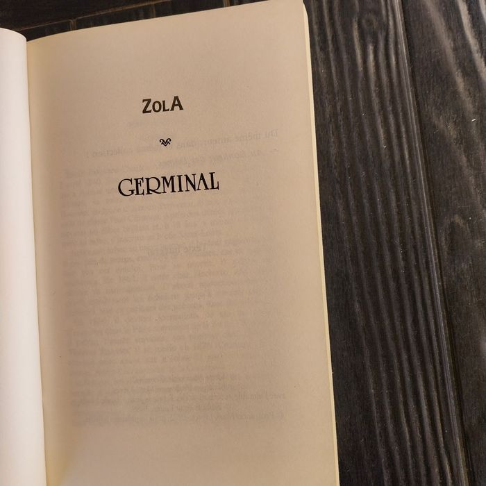 Germinal d'Émile Zola 5 euros - photo numéro 4