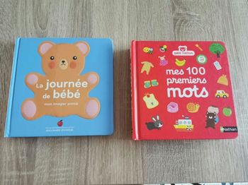 Lot de 2 livres pour bébé un imagier et la journée de bébé