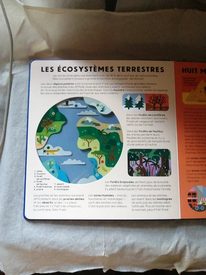 La terre - photo numéro 2