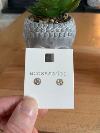 Boucles d’oreilles argentées