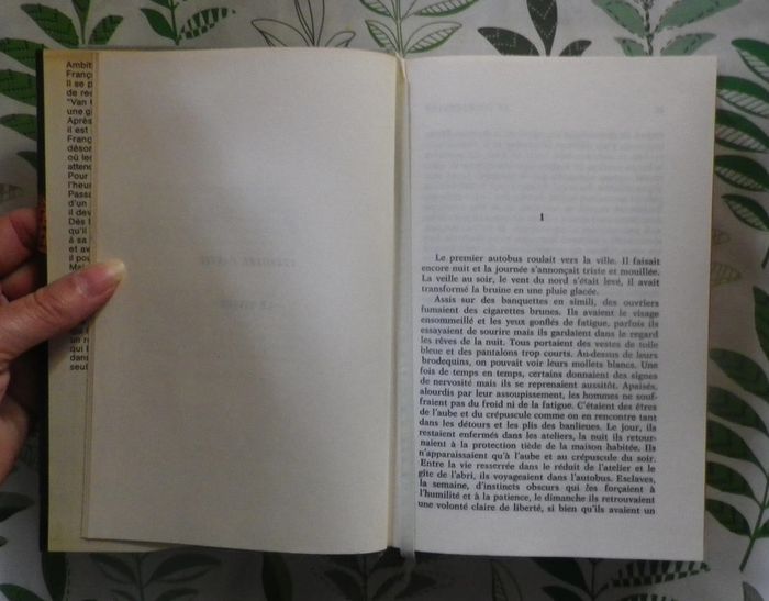 Le loup-cervier de Guy Croussy Ed. France Loisirs - photo numéro 5