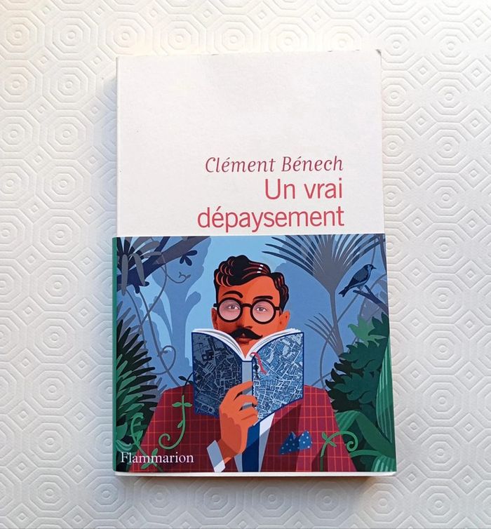 Livre Un Vrai Dépaysement. Clément Bénech. Éditorial Flammarion