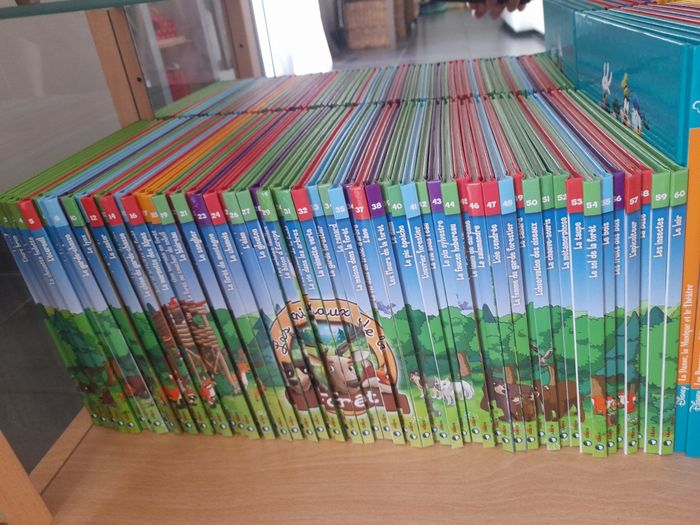 Lot exceptionnel les animaux de la forêt