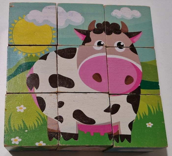 Puzzles cubes en bois - 9 pièces - photo numéro 3