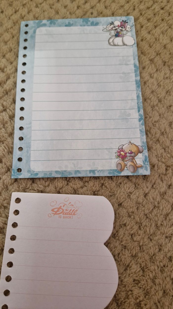 Lots de 6 feuilles diddl is back carnet - photo numéro 4