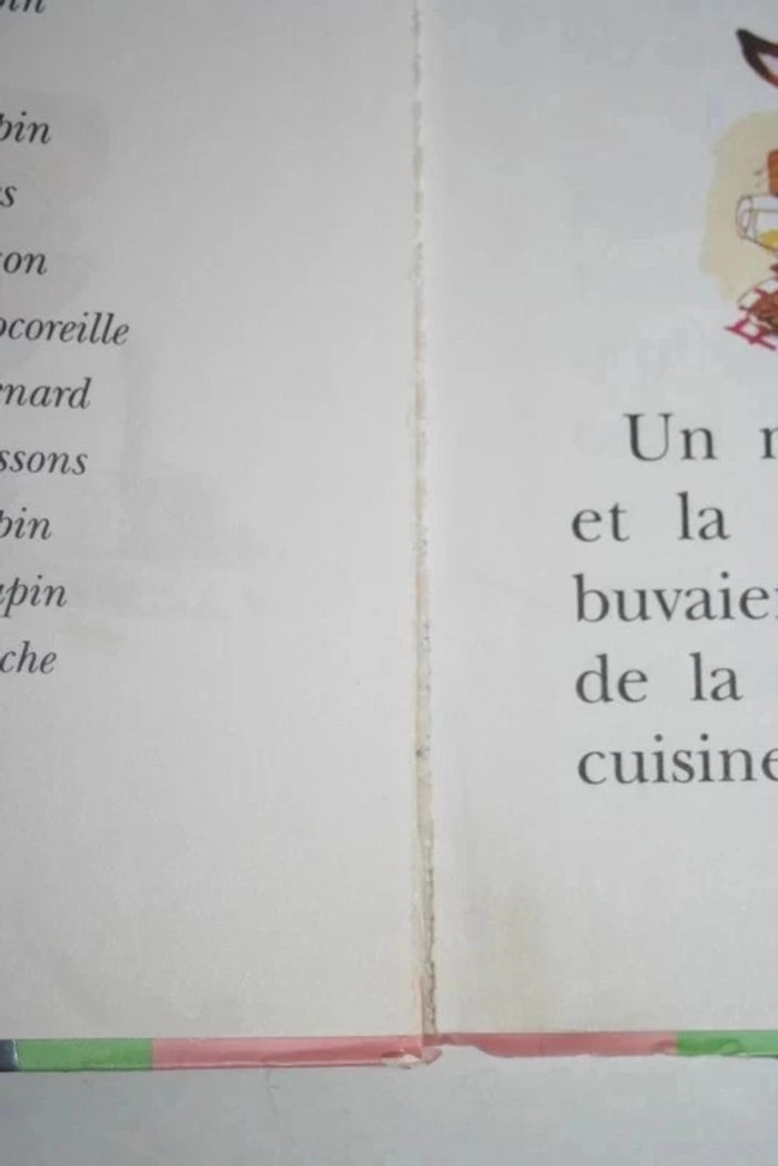 Jojo Lapin joue à cache-cache de Enid Blyton - photo numéro 4