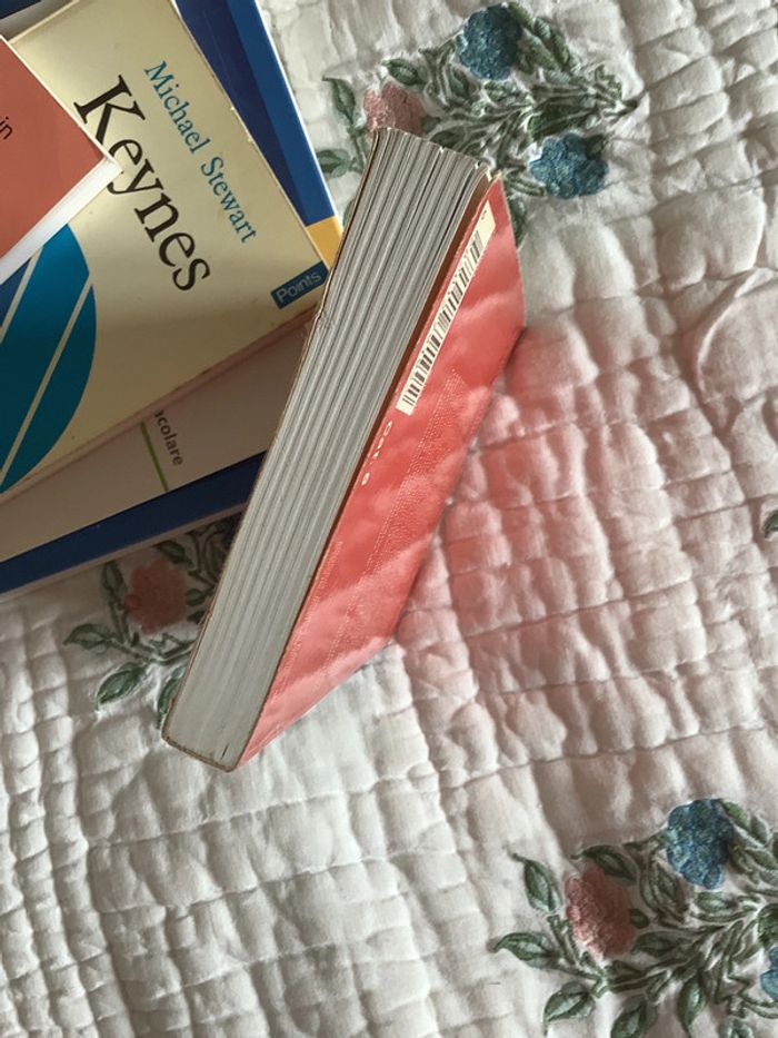 Négrologie, pourquoi l’Afrique meurt, par Stephen Smith - photo numéro 7