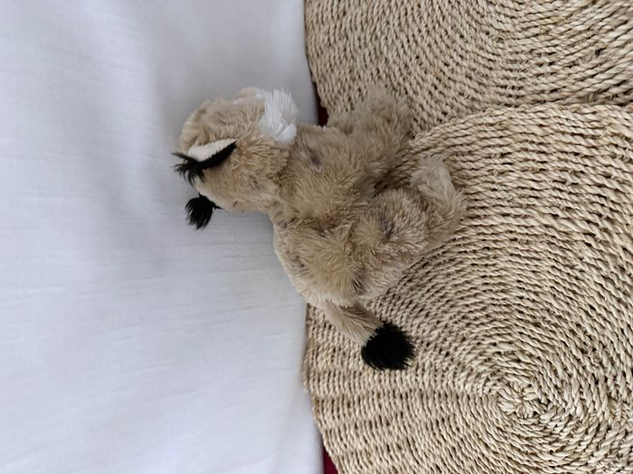 Peluche chat sauvage lynx DANI - photo numéro 5