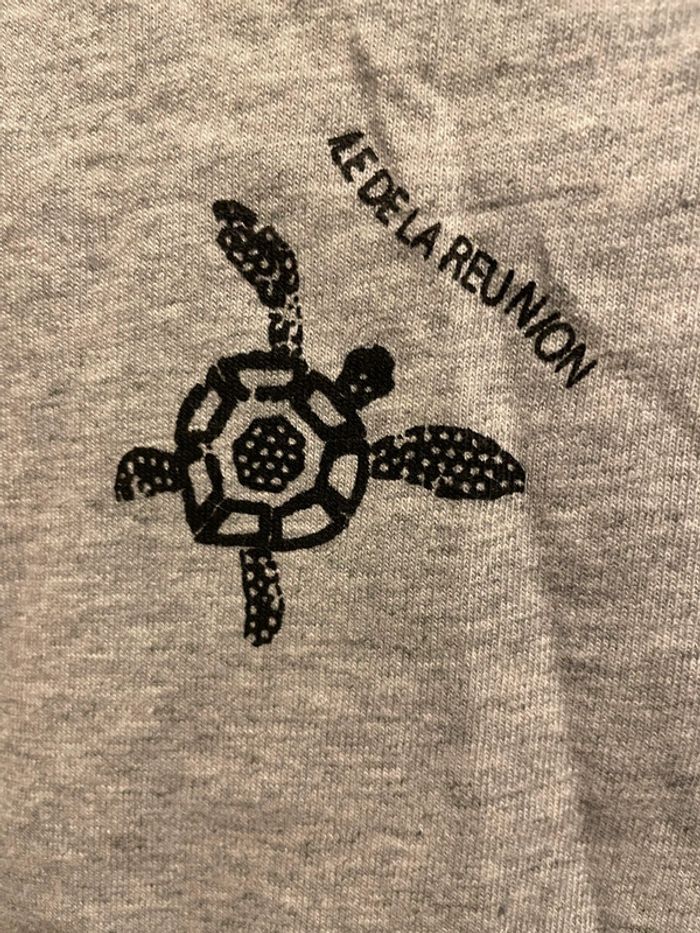 Tee shirt gris 4 ans , île de la réunion - photo numéro 7