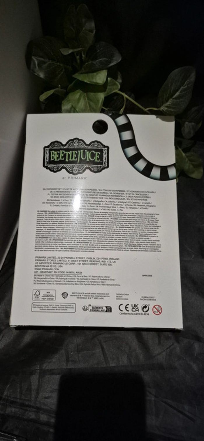 Cahier er stylo beetlejuice - photo numéro 5